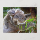 Search for destiny postcards Nature