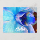 Search for share postcards Blue