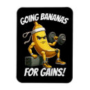 Search for out magnets Fitness