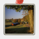 Search for vermont christmas tree decorations Nature