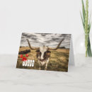 Search for cow christmas cards Western