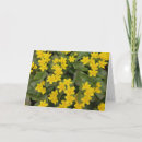 Search for marsh cards Flowers