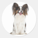 Search for papillon stickers Puppy
