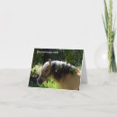 Search for norwegian cards Norwegian fjord horse