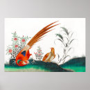 Search for chinese posters Illustration