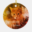 Search for tabby christmas tree decorations Kitty