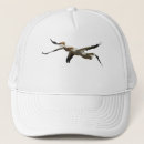 Search for two animals hats Wild