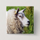 Search for ewes badges Farming