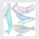 Search for whale electronics Mammals