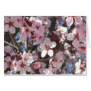 Search for peach branch postcards Flowers