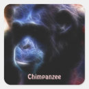 Search for chimp stickers Wildlife
