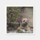 Search for border terrier napkins Dog