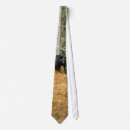 Search for bear lovers ties For him