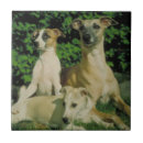 Search for greyhound tiles Dog