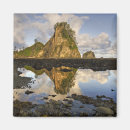 Search for olympic national park magnets Sea