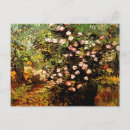 Search for bush postcards Vincent van gogh