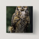 Search for horn badges Owl