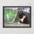 Search for risque postcards Cats