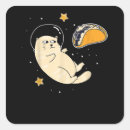Search for cat moon stickers Universe