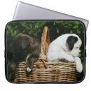 Search for 15 6 laptop cases Bob and pam langrish