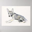 Search for wolf pup posters Young