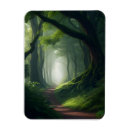 Search for forest path magnets Nature