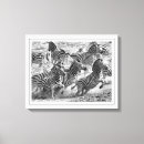 Search for black and white photography canvas prints Modern