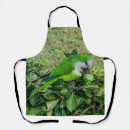 Search for parakeet aprons Bird