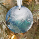 Search for international space station christmas tree decorations Earth
