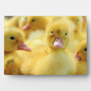 Search for duck nursery decor Cute