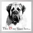 Search for mastiffs posters Old english mastiff