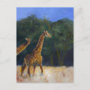 Search for love giraffe invitations Zoo
