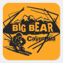 Search for big bear stickers Orange