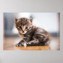 Search for tiny posters Feline