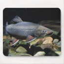 Search for brook trout mousepads Fishing