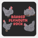 Search for chicken poultry stickers Chickens