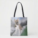 Search for huskies bags Puppy