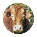 Search for cattle chopping boards Animals