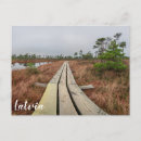 Search for swamp postcards Bog