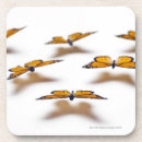 Search for monarch barware Butterflies