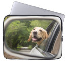 Search for car window electronics Puppy
