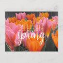 Search for celebrity postcards For her