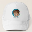 Search for painted hats Dog