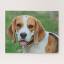 Search for beagle puppy puzzles Dogs
