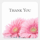 Search for pink gerbera daisy stickers Daisies