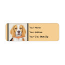 Search for cute beagle return address labels Puppy