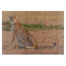 Search for animal print chopping boards Wild animals