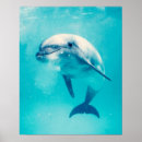 Search for dolphin posters Cute