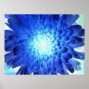 Search for brilliant posters Blue