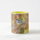 Search for little bird mugs Nature